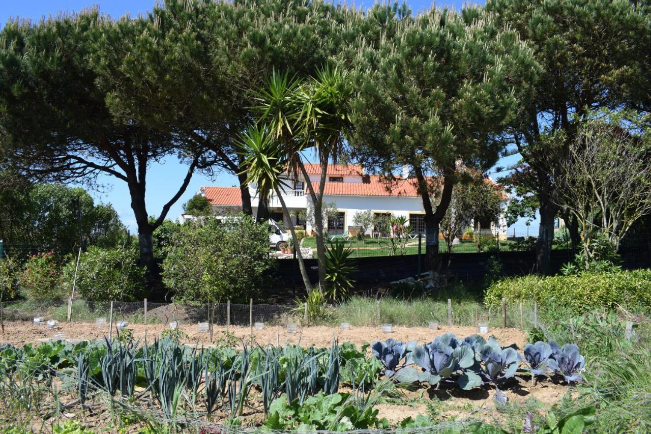 Bed and Breakfast Casa Jardim Peniche São Bernardino Zewnętrze zdjęcie